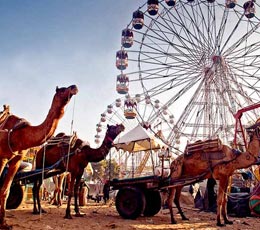 Pushkar fair, Rajasthan, India